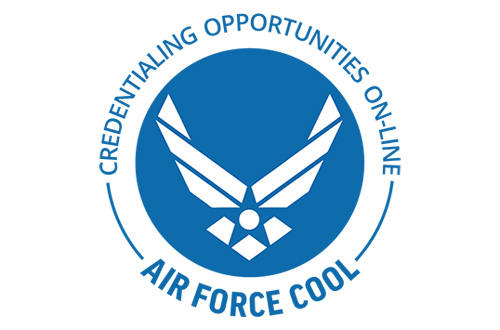 Air Force and Space Force COOL